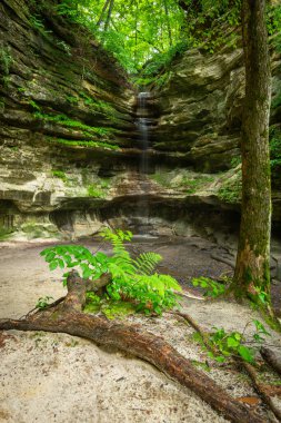 Güzel bir yaz sabahında St. Louis Kanyonu 'nda şelale ve yapraklar. Aç Rock Eyalet Parkı, Illinois, ABD.