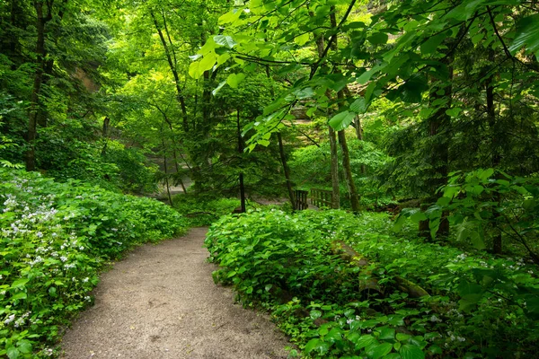 Trails Louis Canyon — Stock Photo, Image