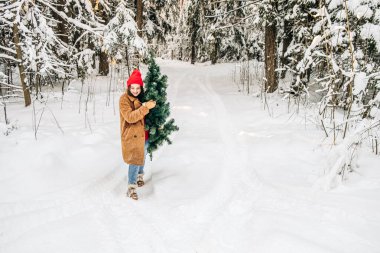 Kadın Noel kutlaması konsepti. Moda kürkü ve kırmızı şapkalı çekici bir kadın kış ormanında bir Noel ağacı taşıyor.