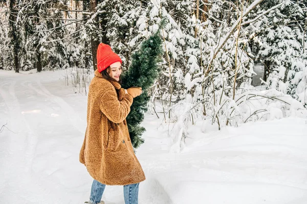 スタイリッシュな若い女性は冬の森の中でクリスマスツリーを運ぶ ストック写真