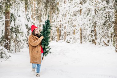 Kış aktivitesi yaşam tarzı Noel için hazırlanıyor. Çekici genç bir kadın bir Noel ağacı taşıyor ve karlı kış ormanlarında yürüyor.. 