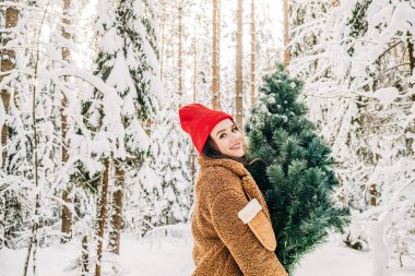 Kış aktivitesi yaşam tarzı Noel için hazırlanıyor. Çekici genç bir kadın bir Noel ağacı taşıyor ve karlı kış ormanlarında yürüyor.. 
