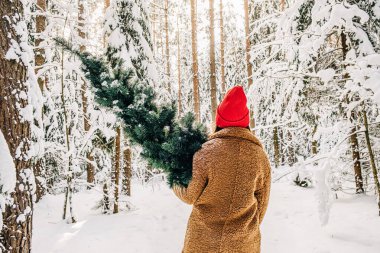 Şık genç bir kadın kış ormanında bir Noel ağacı taşıyor.
