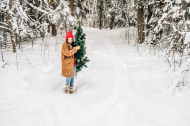 Genç kadın kış ormanında bir Noel ağacı taşıyor. Kış tatili konsepti hazırlanıyor