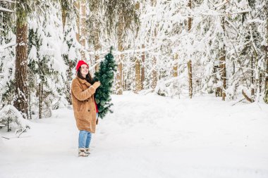  Modern kış yaşam tarzı konsepti. Genç kadın kış ormanında bir Noel ağacı taşıyor. Metin için alanı kopyala