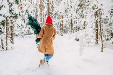 Kış karlı ormanında Noel ağacı seçen bir kadın. Arka plan