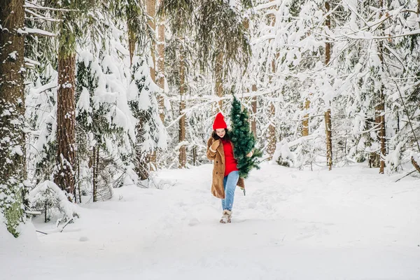 Noel tatili doğal yaşam tarzı konsepti. Kış ormanında Noel ağacı seçen genç bir kadın. Karlı orman, kış havası, tatil hazırlıkları.