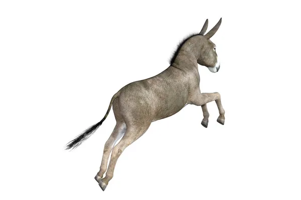 Photo Realistic Illustration Donkey Different Poses Angles Rendering Illustration — Stock Photo, Image