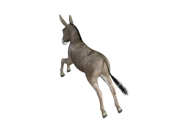 Photo Realistic Illustration Donkey Different Poses Angles Rendering Illustration — Stock Photo, Image