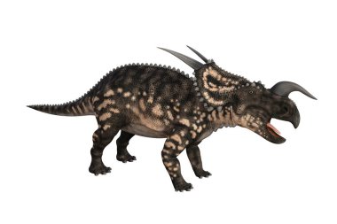 Einiosaurus farklı açılarda ve beyaz arkaplan üzerinde oluşturulan pozlar, üç boyutlu resimleme.