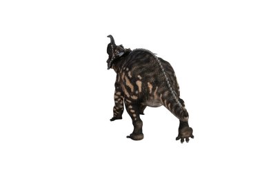 Einiosaurus farklı açılarda ve beyaz arkaplan üzerinde oluşturulan pozlar, üç boyutlu resimleme.