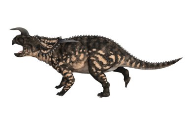 Einiosaurus farklı açılarda ve beyaz arkaplan üzerinde oluşturulan pozlar, üç boyutlu resimleme.