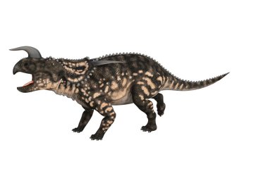 Einiosaurus farklı açılarda ve beyaz arkaplan üzerinde oluşturulan pozlar, üç boyutlu resimleme.