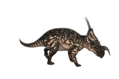 Einiosaurus farklı açılarda ve beyaz arkaplan üzerinde oluşturulan pozlar, üç boyutlu resimleme.