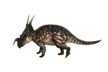 Einiosaurus farklı açılarda ve beyaz arkaplan üzerinde oluşturulan pozlar, üç boyutlu resimleme.