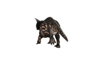Einiosaurus farklı açılarda ve beyaz arkaplan üzerinde oluşturulan pozlar, üç boyutlu resimleme.