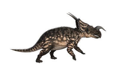 Einiosaurus farklı açılarda ve beyaz arkaplan üzerinde oluşturulan pozlar, üç boyutlu resimleme.