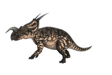 Einiosaurus farklı açılarda ve beyaz arkaplan üzerinde oluşturulan pozlar, üç boyutlu resimleme.