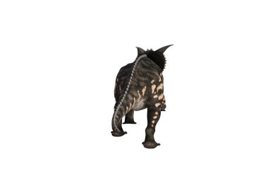 Einiosaurus farklı açılarda ve beyaz arkaplan üzerinde oluşturulan pozlar, üç boyutlu resimleme.