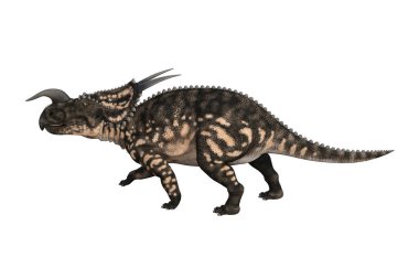 Einiosaurus farklı açılarda ve beyaz arkaplan üzerinde oluşturulan pozlar, üç boyutlu resimleme.