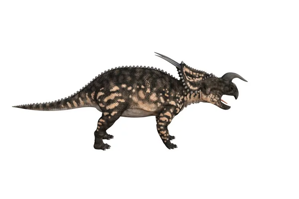 Einiosaurus Olika Vinklar Och Poser Återges Vit Bakgrund Rendering Illustration — Stockfoto