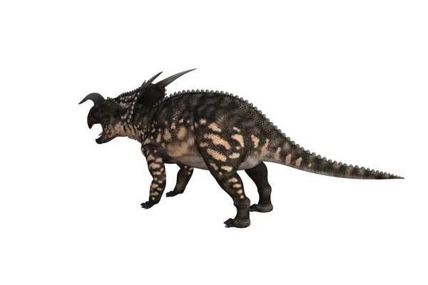 Einiosaurus Diferentes Ángulos Poses Renderizadas Sobre Fondo Blanco Ilustración Renderizado —  Fotos de Stock