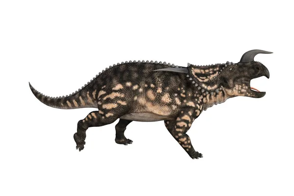 Einiosaurus Pod Różnymi Kątami Pozuje Białym Tle Ilustracja Renderingu — Zdjęcie stockowe