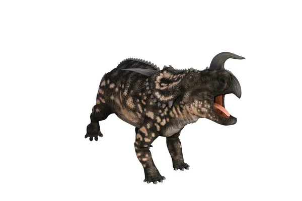 Einiosaurus Different Angles Poses Rendered White Background Rendering Illustration — Stock Photo, Image