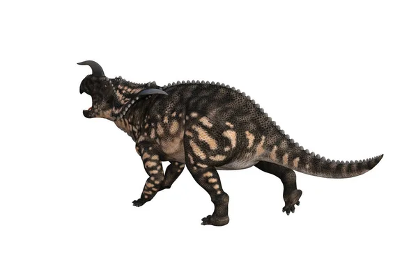 Einiosaurus Olika Vinklar Och Poser Återges Vit Bakgrund Rendering Illustration — Stockfoto
