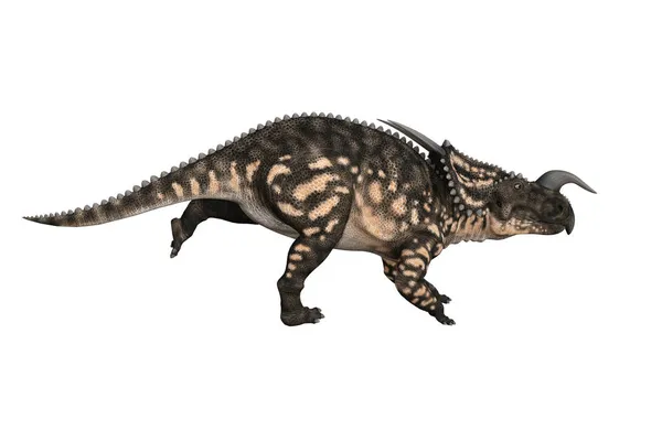 Einiosaurus Verschiedenen Winkeln Und Posen Gerendert Auf Weißem Hintergrund Darstellung — Stockfoto