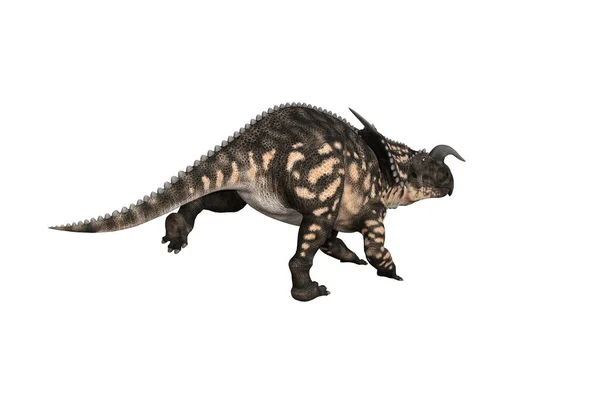 Einiosaurus Különböző Szögekben Pózok Renderelt Fehér Háttér Renderelés Illusztráció — Stock Fotó