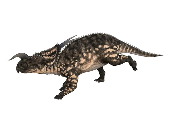 Einiosaurus Διαφορετικές Γωνίες Και Στάσεις Που Αποδίδονται Λευκό Φόντο Απεικόνιση — Φωτογραφία Αρχείου