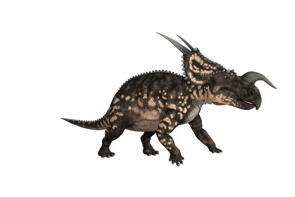 Einiosaurus Verschiedenen Winkeln Und Posen Gerendert Auf Weißem Hintergrund Darstellung — Stockfoto