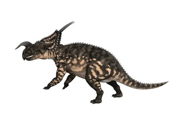 Einiosaurus Pod Różnymi Kątami Pozuje Białym Tle Ilustracja Renderingu — Zdjęcie stockowe