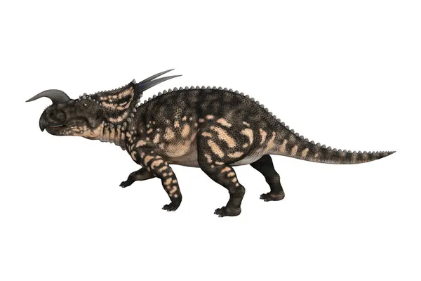 Einiosaurus Diverse Angolazioni Pose Renderizzate Sfondo Bianco Illustrazione Rendering — Foto Stock