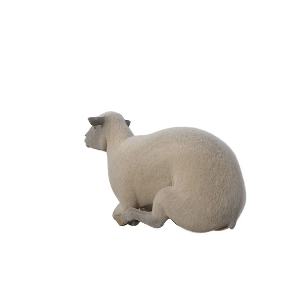 白い背景に隔離されたさまざまなポーズで羊のフォトリアリスティック 3Dレンダリングイラスト — ストック写真