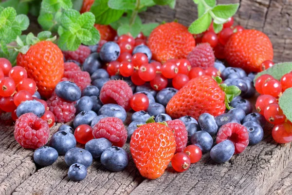 Wild berries — Stock Photo, Image