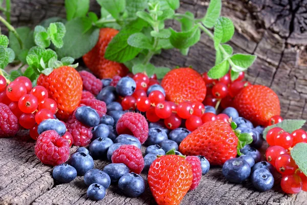 Waldbeeren — Stockfoto