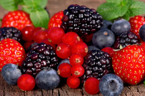 Waldbeeren — Stockfoto