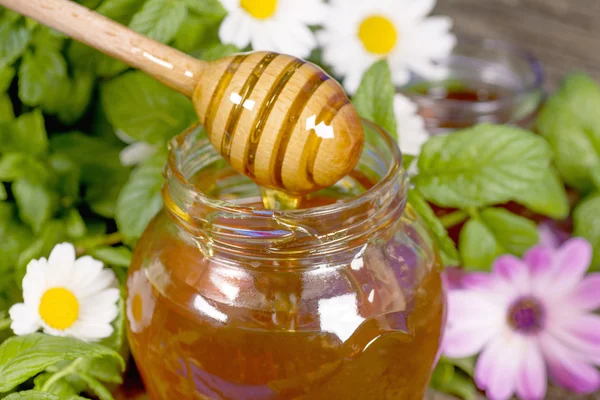Сезонный свежий мед — стоковое фото