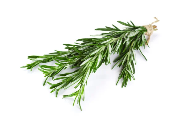 Bunch of rosemary — Stock Photo, Image