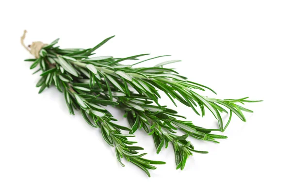 Bunch of rosemary — Stock Photo, Image