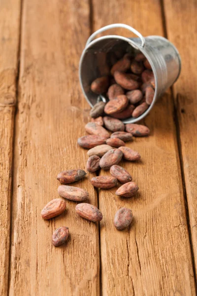 Cocoa beans in a small tin bucket — Stock Photo, Image