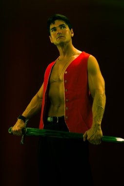 Yakışıklı viking