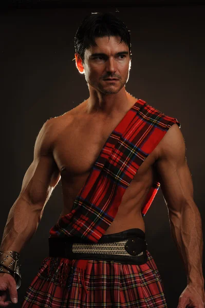 Hot highlander — Stock Photo, Image