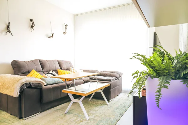 소파와 현대식 거실의 — 스톡 사진
