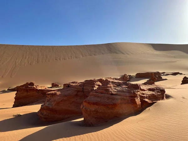 Desert View Namibia Africa — Stock Photo, Image