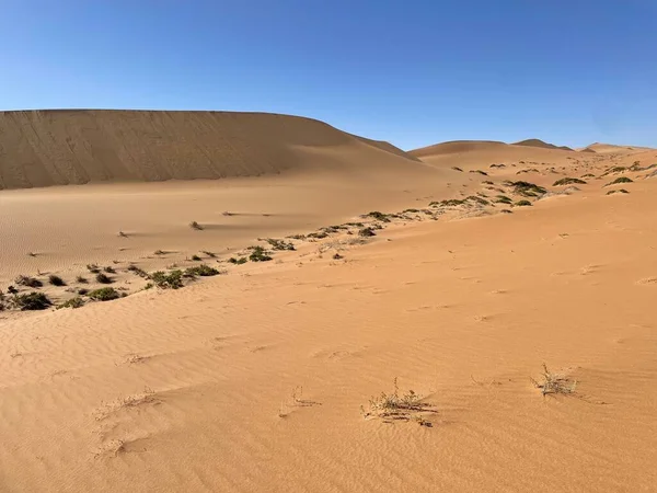 Desert View Namibia Africa — Stock Photo, Image