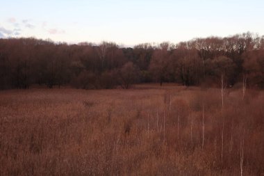 Parkta altın sonbahar