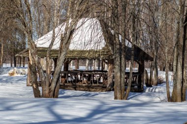 - Rusya. Bahar. - Günaydın. Sanatoryum Lunevo. Ormanda duran ahşap bir çardak manzarası.